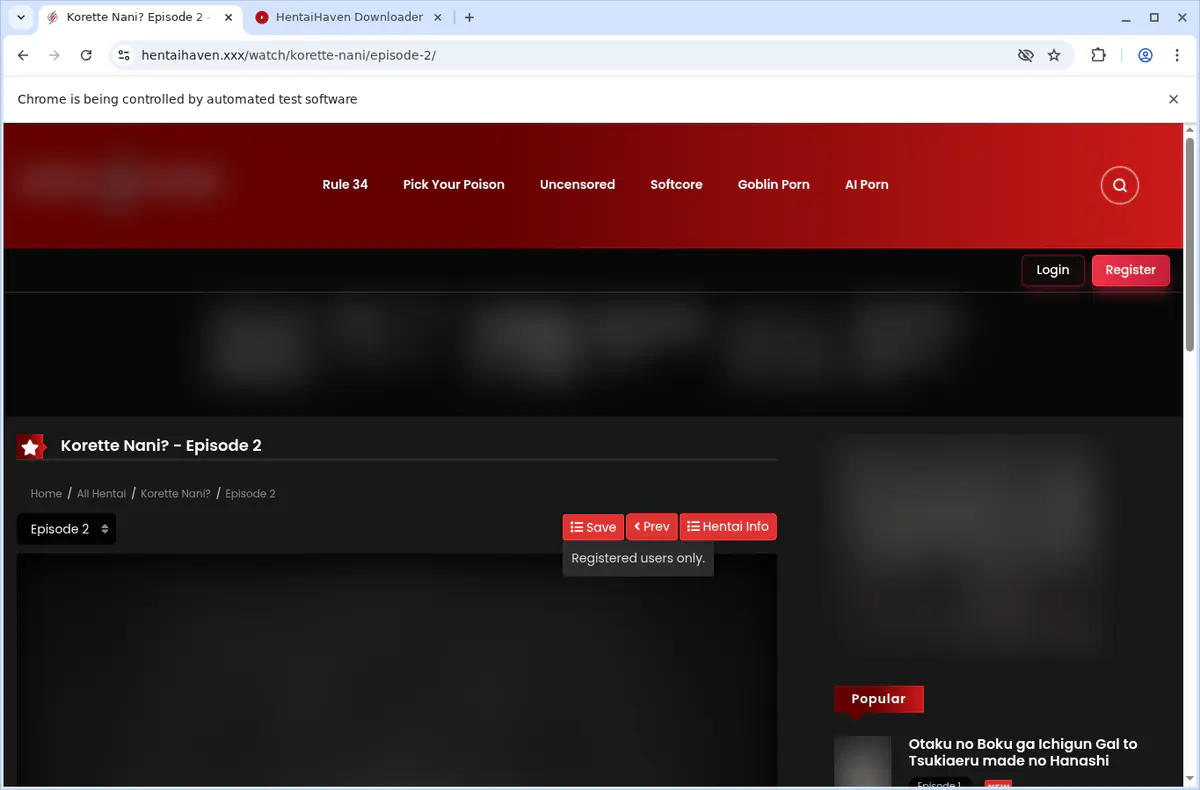 Hentaihaven Video Downloader screenshot 3