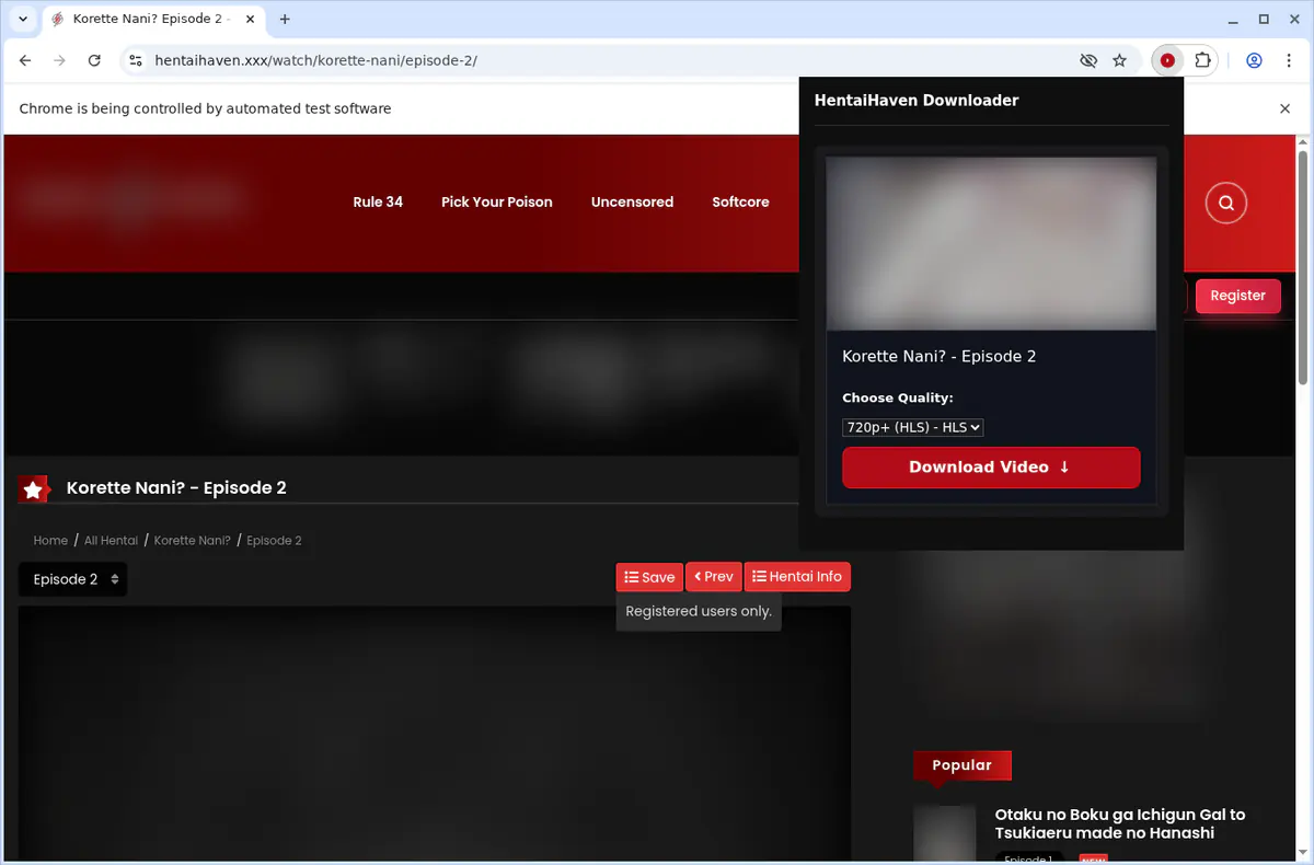 Hentaihaven Video Downloader screenshot 4