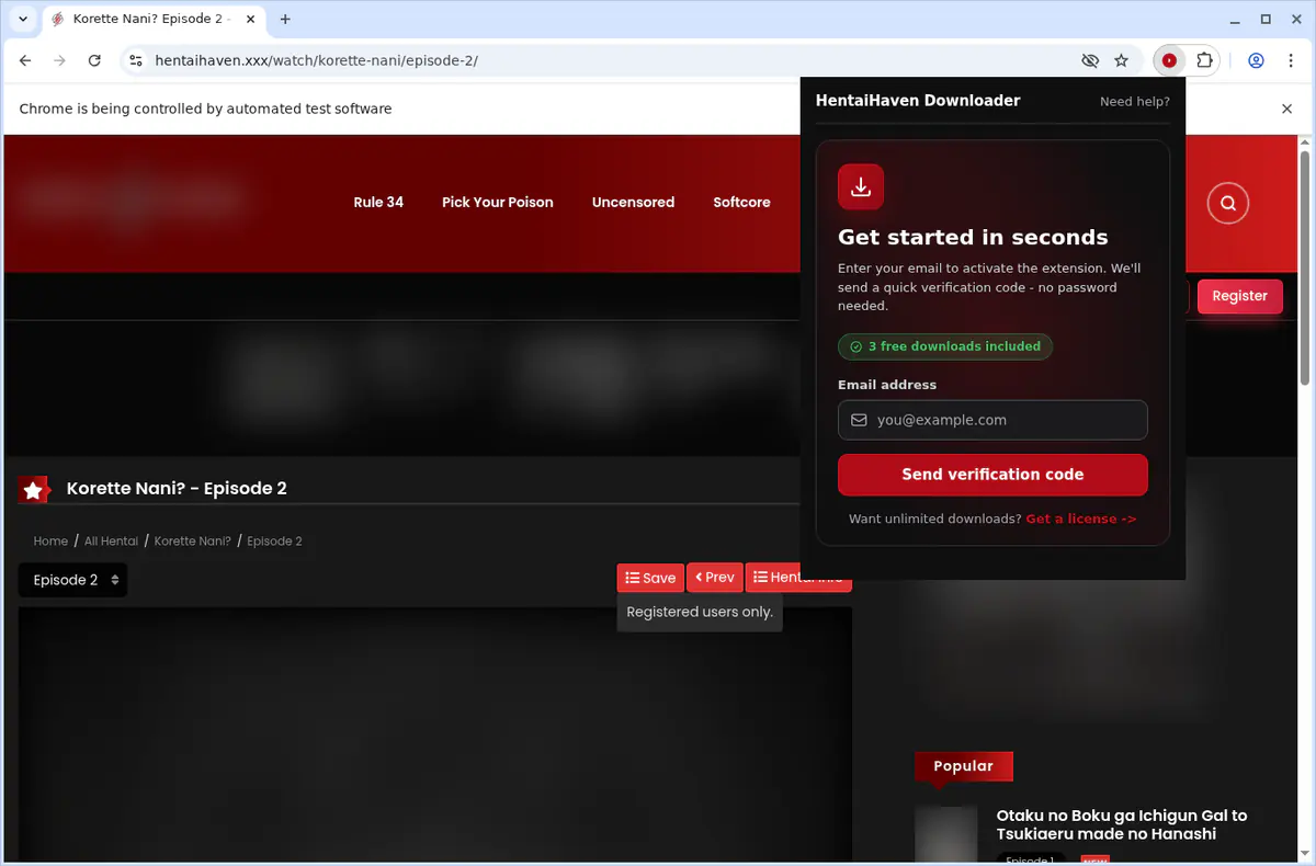 Hentaihaven Video Downloader screenshot 6